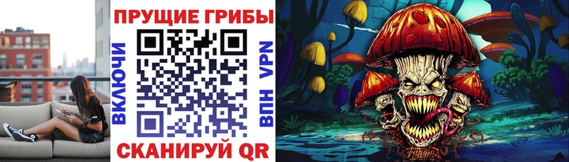 Псилоцибиновые грибы прущие грибы  Купить  Родники 